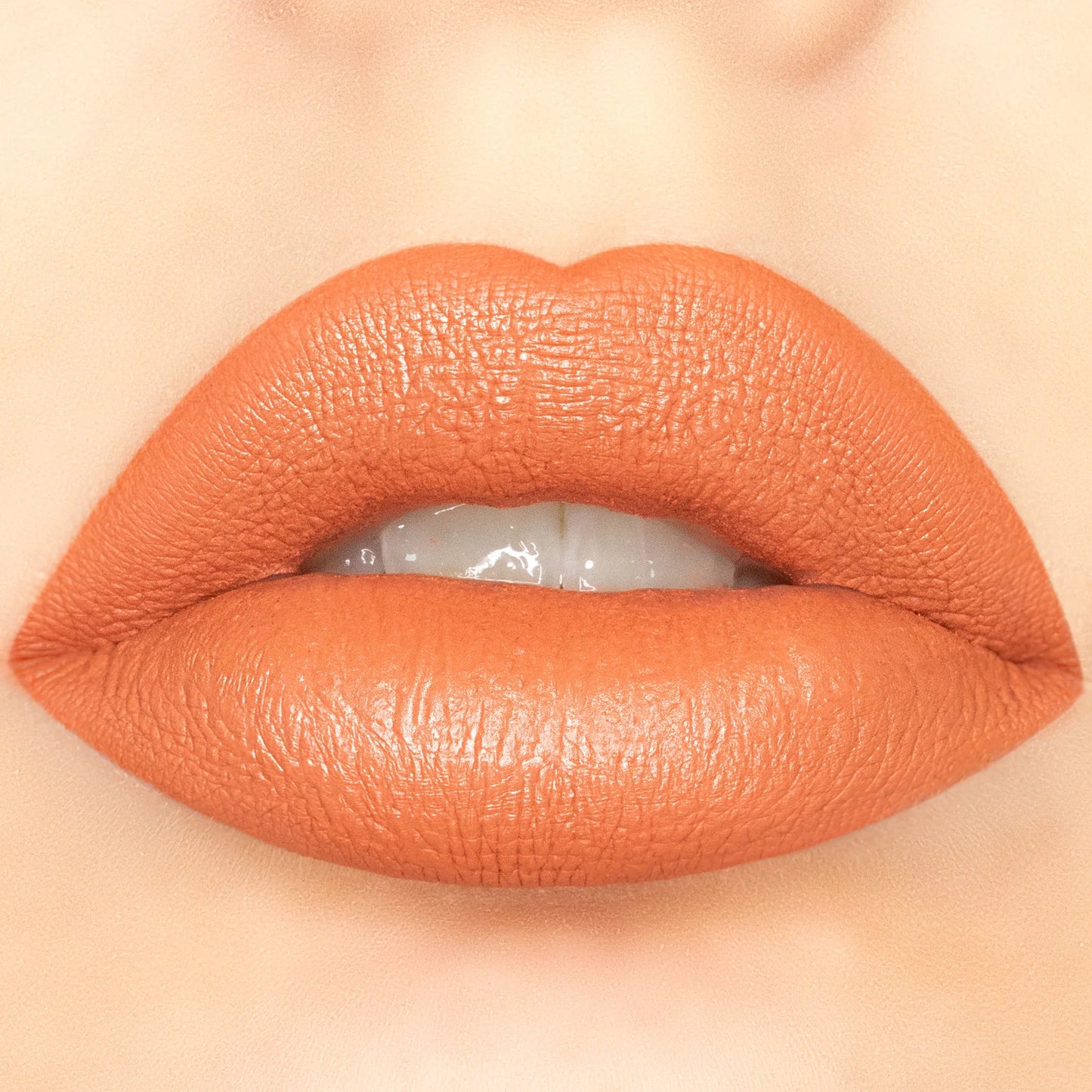 Nude Brick - Velvety Kiss Matte Liquid Lipstick Amor Us